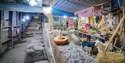 City of David