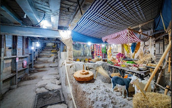 City of David