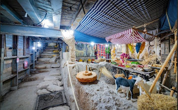 City of David