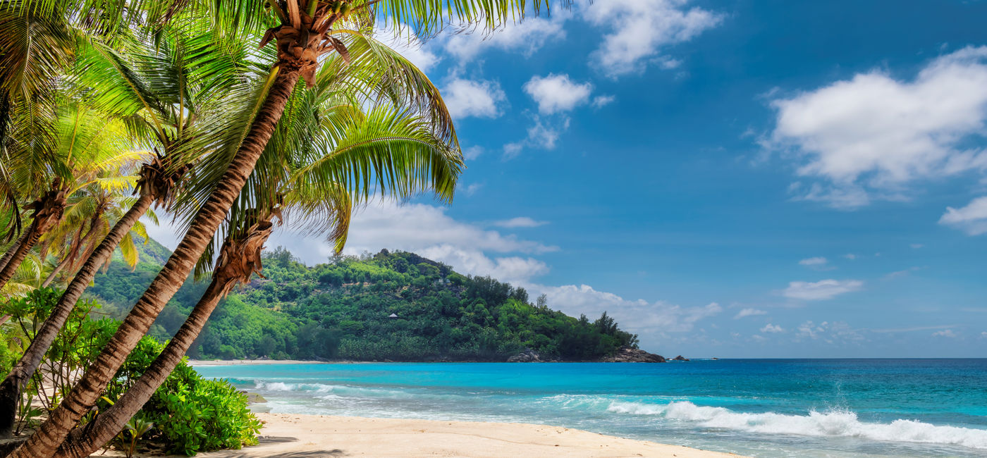 Image: Beautiful beach with palms and turquoise sea in Jamaica. (Photo Credit: lucky-photo/Adobe Stock)