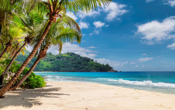 Beautiful beach with palms and turquoise sea in Jamaica.