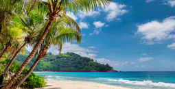 Beautiful beach with palms and turquoise sea in Jamaica.