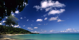 Plage de Vieux Fort (Marie-Galante)