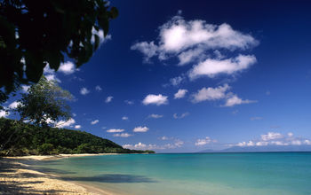 Plage de Vieux Fort (Marie-Galante)