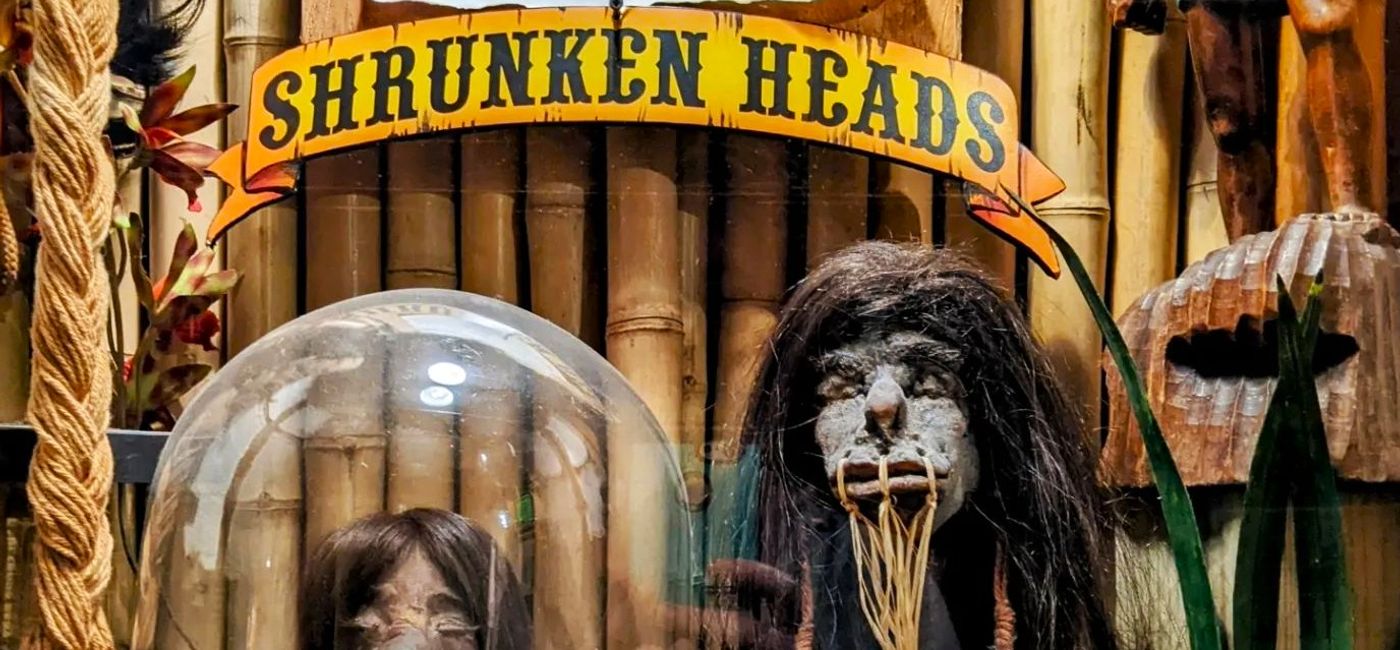 Image: Shrunken heads at Museum of the Weird, Austin, TX (Photo Credit: Noreen Kompanik)