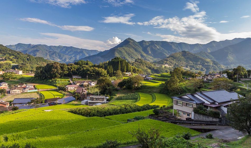 Goway in Japan
