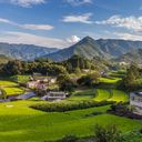 Goway in Japan