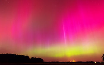 Rare pink and green Northern Lights illuminate the night sky.