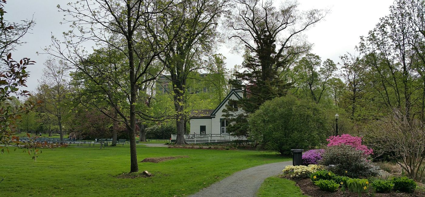 Image: Les grands jardins publics au centre d'Halifax (Photo Credit: Bert Archer)