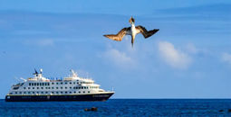 Save 50% on Select Galápagos Departures for Young Travelers