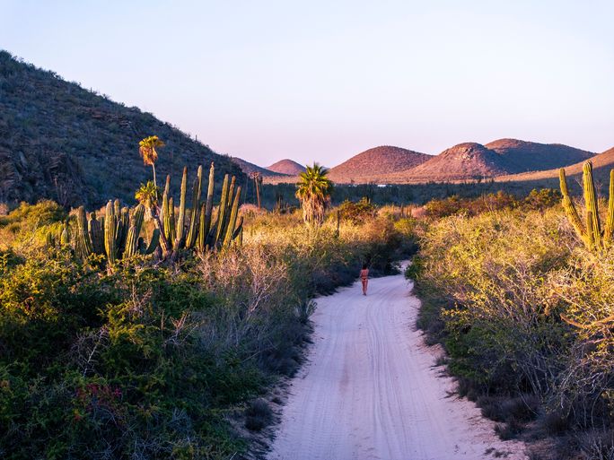 Los Cabos. Los Cabos.