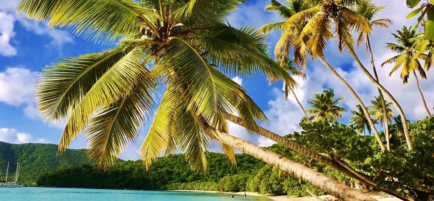 Image: St. John, USVI (Photo Credit: Noreen Kompanik)
