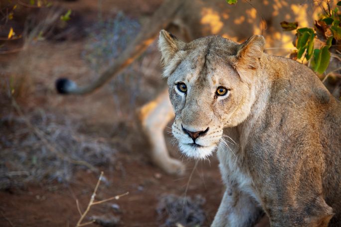 G Adventures Provides Small Groups With Monumental Experiences G Adventures Provides Small Groups With Monumental Experiences