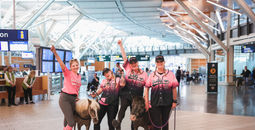 Vancouver Airport Miniature Horses