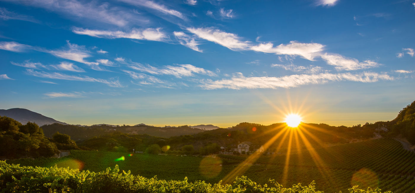 Image: Napa Valley Vineyard Sunset (Photo Credit: Visit Napa Valley)