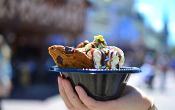 Hot fudge cookie sundae, Disney World, Disney food, Magic Kingdom