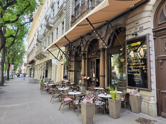 Muvesz cafe, Budapest