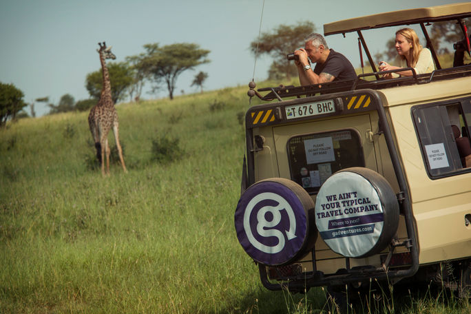 G Adventures, safari, giraffe, serengeti
