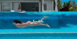 Sandals® Resorts: Black Friday Is Here!