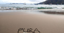 Pura Vida on the Pacific Coast life