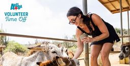 Aruba Tourism is encouraging travellers to swap traditional vacations for trips that give back, with the launch of Aruba VTO