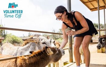 Aruba Tourism is encouraging travellers to swap traditional vacations for trips that give back, with the launch of Aruba VTO