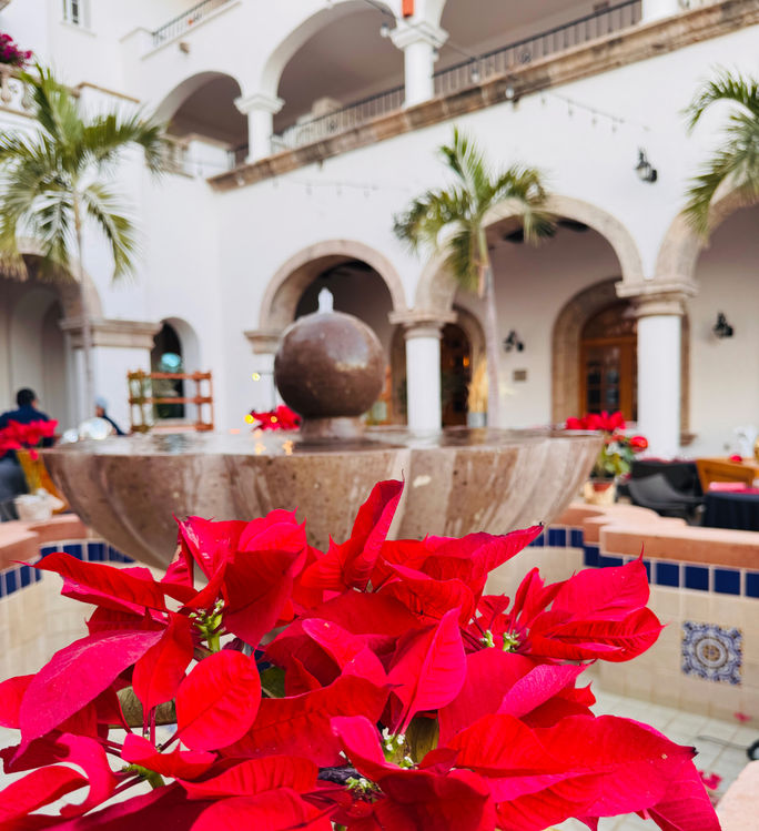 Hacienda del Mar Los Cabos is decorated for the holiday season. Hacienda del Mar Los Cabos is decorated for the holiday season.