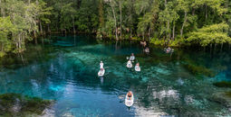 Paddle-boarding on the crystal-clear Silver Springs in northern Florida.