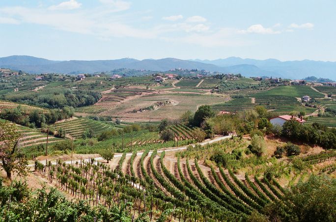 Gori?ka Brda wine region in Slovenia Gori?ka Brda wine region in Slovenia