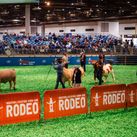 Houston Rodeo breaks ground.