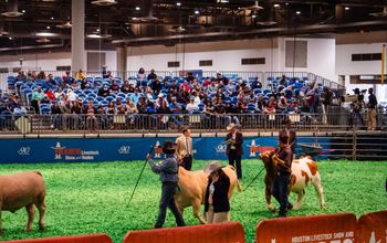 Houston Rodeo breaks ground.