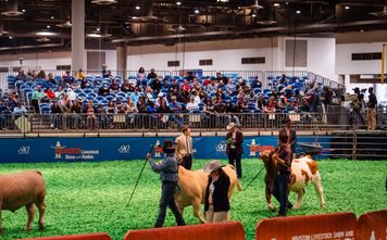 Houston Rodeo breaks ground.