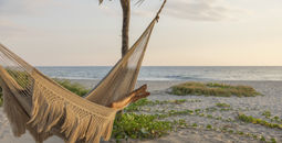 Black Friday Sale with Expedia TAAP