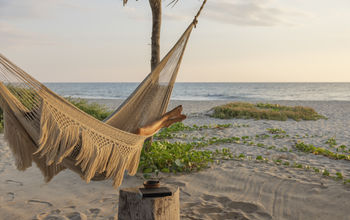 Black Friday Sale with Expedia TAAP