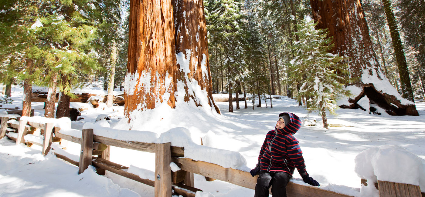 Image: A kid in Sequoia National Park in northern California, during the winter. (Photo Credit: Adobe Stock / Aleksei Potov)