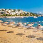 Plan Ahead and Save on 2027/2028 Voyages