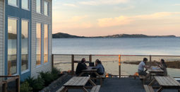 Newfoundland Distillery Co., perched on the shores of Conception Bay.