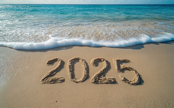 The travel industry thrived in 2025.