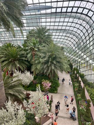 Inside of glass-domed garden