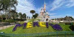 Floral arrangement of 'Merci' at Disneyland Paris