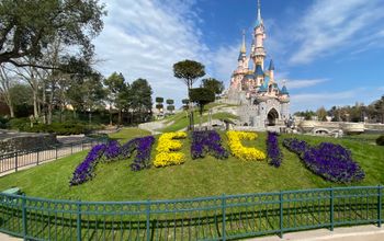 Floral arrangement of 'Merci' at Disneyland Paris