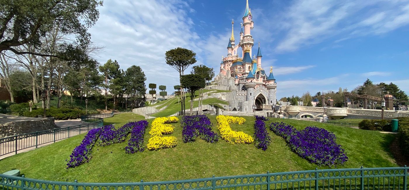 Image: PHOTO: Floral arrangement of 'Merci' at Disneyland Paris. (photo courtesy of Walt Disney Parks & Resorts)