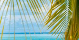 Spring Into Tahiti