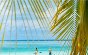 Spring Into Tahiti