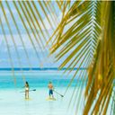 Spring Into Tahiti