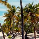 Paradisus Caribe, Naturally Exclusive