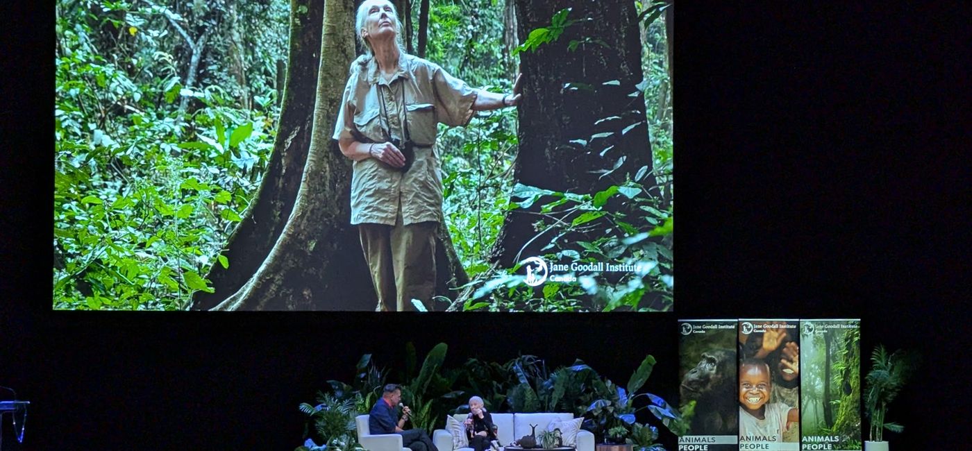 Image: An Evening with Jane Goodall (Photo Credit: TravelPulse Canada/Natasha Lair-McKenty)
