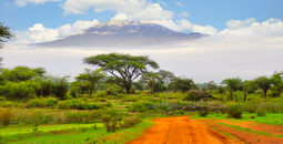 Tanzania, safari, Mount kilimanjaro