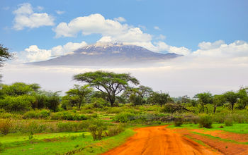 Tanzania, safari, Mount kilimanjaro
