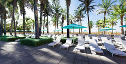 vacation, spring break, luxury, resort, florida, beach, oceanfront, palm trees